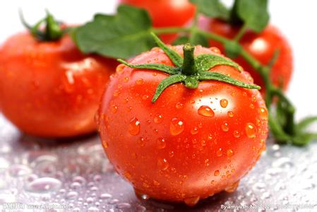 解读吃西红柿增强男性生育力